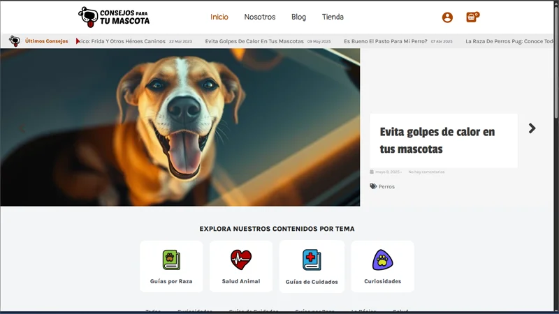 Consejos para tu mascota